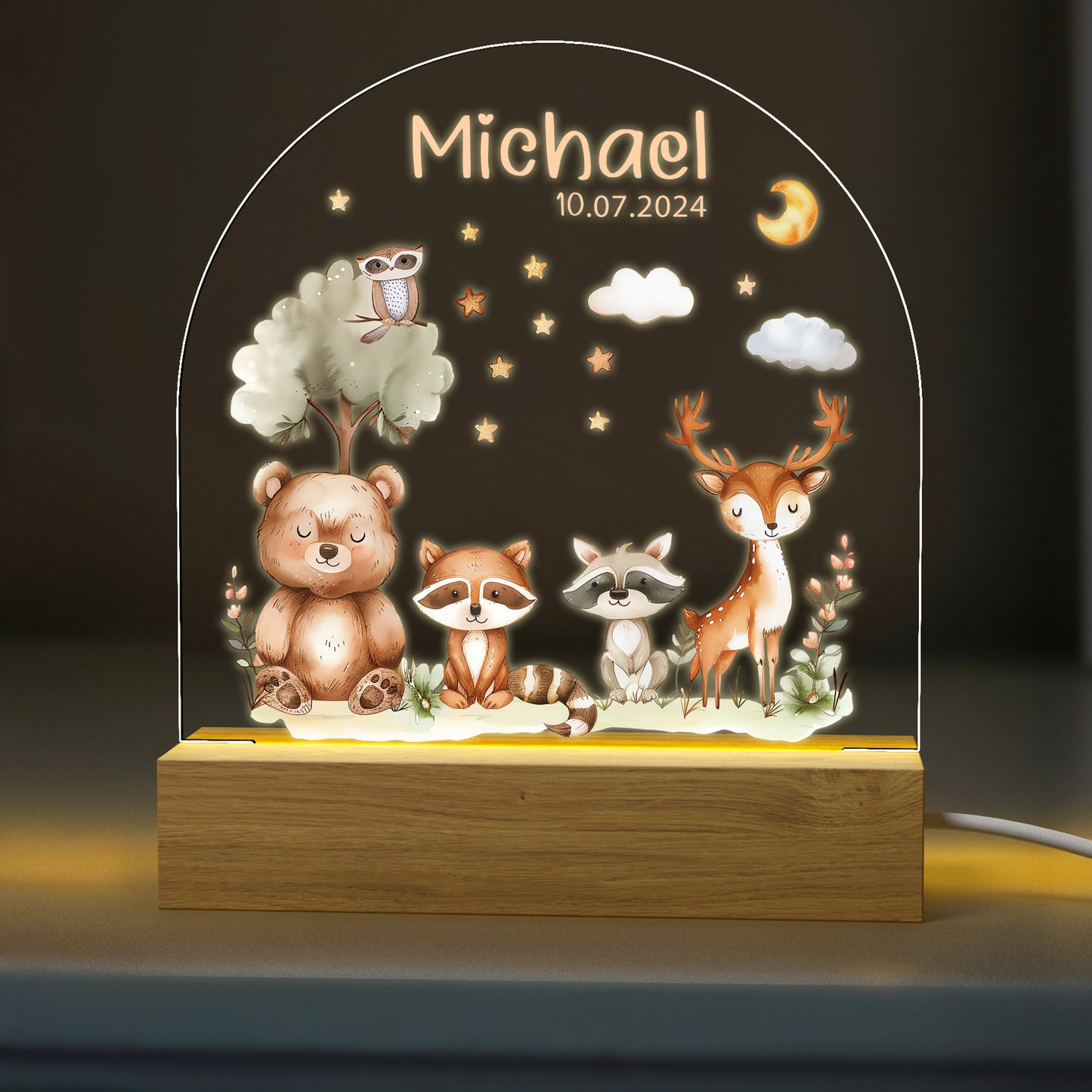 Personalized Acrylic Night Light for Nursery & Kids Room